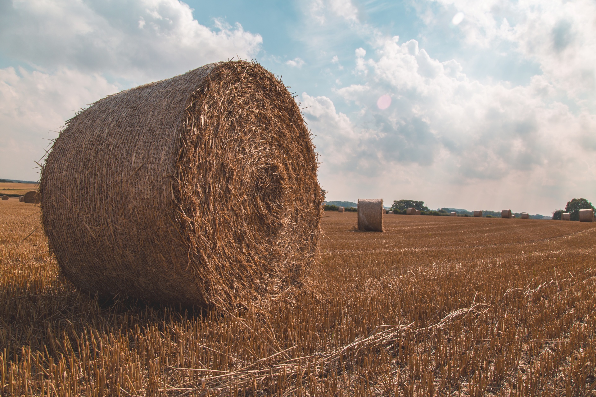 wheat-straw-deer-run-farm-of-midland-llc